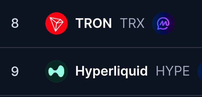 The image shows a list of cryptocurrency names, including "TRON", "HYPERLIDIUM", and "HOPE" with their respective market caps displayed below them. The caption reads "Betting on $HYPE to flip $TRX by market cap before GTA 6". This suggests that the user might be considering investing in one or more of these cryptocurrencies, possibly based on their perceived potential for growth or a specific strategy they are following.