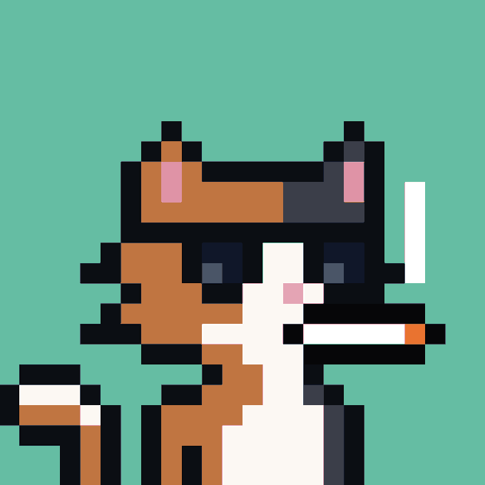 A pixel art illustration of an orange and white cat with black outlines wearing what appears to be a dark helmet or visor, set against a teal background.