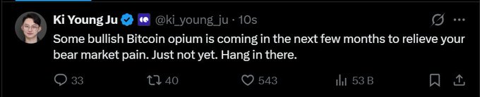 A tweet from Ki Young Ju (@ki_young_ju), CEO of CryptoQuant, posted 10 seconds ago, reads: "Some bullish Bitcoin opium is coming in the next few months to relieve your bear market pain. Just not yet. Hang in there." The post has 33 replies, 40 reposts, 543 likes, and 53B views, reflecting a cautiously optimistic sentiment amid the ongoing bear market, as referenced in the accompanying article.