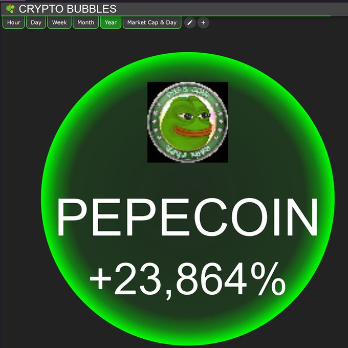 A 'CRYPTO BUBBLES' interface displays a large green bubble for 'PEPECOIN' featuring the Pepe the Frog meme logo, showing a gain of +23,864% on the 'Year' timeframe.