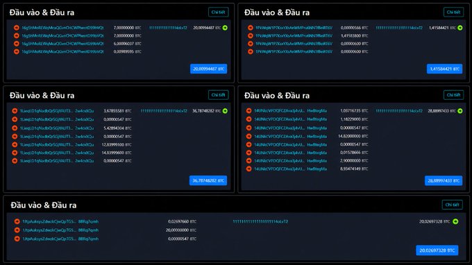 The image presents a collection of six spreadsheets with Bitcoin transactions displayed within them, each showcasing different amounts of Bitcoin being sent or received. The first spreadsheet shows that someone just "burned" over $8.2M worth of Bitcoin (107 BTC) into an address, which is still sitting on the blockchain and accessible to anyone who has the private key. 

The remaining five spreadsheets discuss transactions from various years ranging from 2004 to 2014. One of them reveals a group of wallets that were transferred almost simultaneously in 2014, amounting to 5 old Bitcoins each. This highlights Bitcoin's global community and its constant evolution through time.