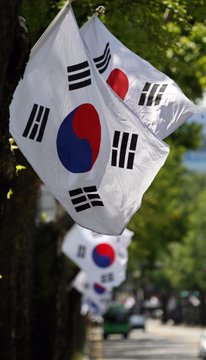 South Korean flags (Taegeukgi) wave in the breeze against a backdrop of green trees.