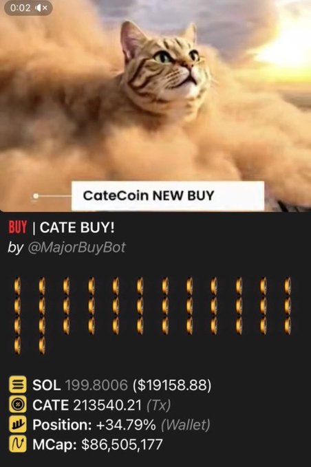 The image is a Telegram alert from @MajorBuyBot showing a "CateCoin NEW BUY" notification with a cat floating in clouds, displaying a 199.8006 SOL ($19,158.88) purchase of 2,135,40.21 CATE tokens at a +34.79% wallet position and $86,505,177 market cap. This directly supports the poster's claim of aping ~$20k into $CATE, matching the $19,158.88 buy size shown in their recent on-chain purchase.
