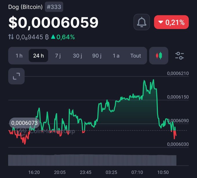 CoinMarketCap price chart for Dog (Bitcoin) ticker #333 showing price of $0.0006059 with a 0.21% decline over 24 hours, displaying green upward movement followed by a sharp drop.