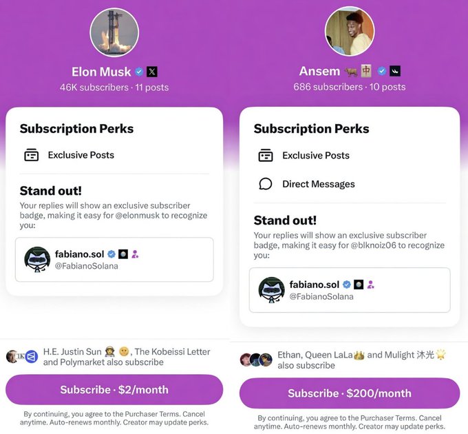 The image compares X (Twitter) subscription perks for Elon Musk ($2/month, 46K subscribers) and Ansem ($200/month, 686 subscribers), showing a 97:1 price-to-subscriber ratio. This visually reinforces the post's claim that "one CT degen is worth 97 normies," highlighting the massive premium crypto influencers command over mainstream accounts.