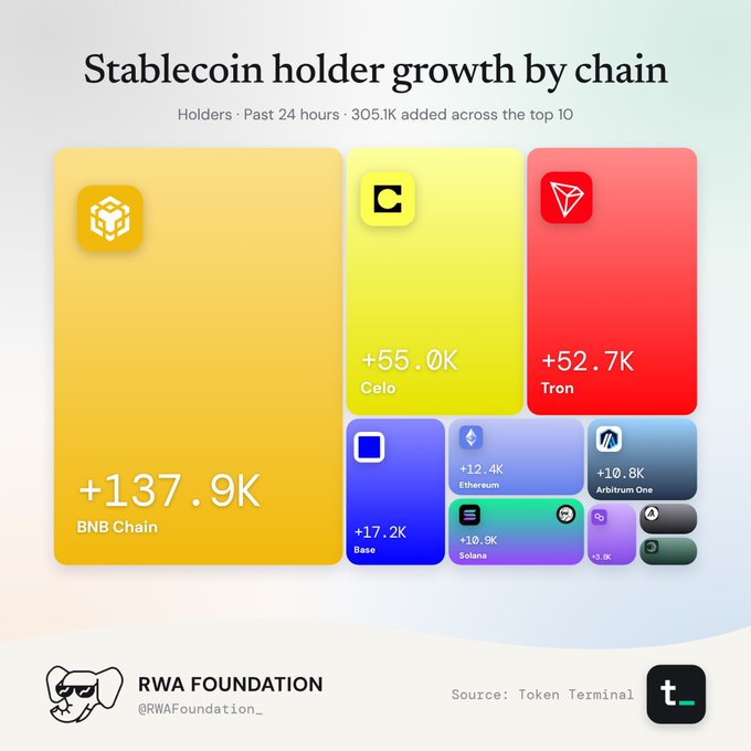 An infographic titled 'Stablecoin holder growth by chain' from RWA Foundation showing 305K holders added in the past 24 hours, with BNB Chain (+137.9K), Celo (+55.0K), and Tron (+52.7K) leading.