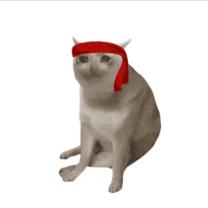 A white cat with large eyes sits against a white background, wearing a red headband tied around its forehead.