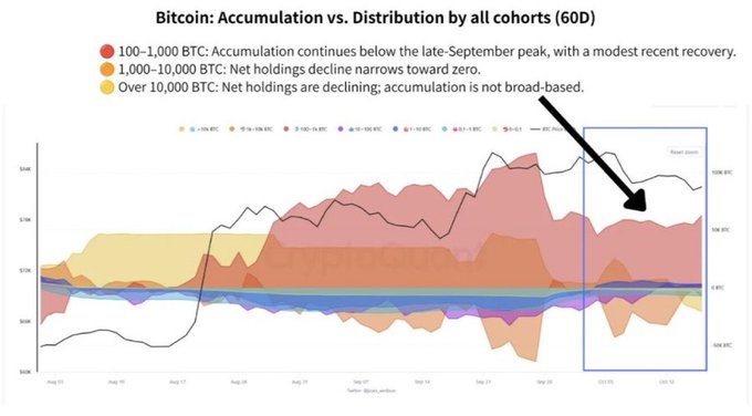 The image is a CryptoQuant 60-day stacked area chart titled "Bitcoin: Accumulation vs. Distribution by all cohorts," tracking BTC holdings across cohorts (10–100, 100–1K, 1K–10K, 10K–100K, etc.), with annotations showing that the 100–1,000 BTC cohort continues accumulating below its late-September peak, while the 1,000–10,000 BTC and Over 10,000 BTC cohorts see net holdings decline toward zero—supporting the post's bullish thesis that recovery depends on broader spot demand and accumulation across all holder groups.