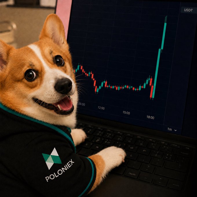 A corgi wearing a black hoodie with the 'POLONIEX' logo looks excitedly at a laptop screen displaying a green USDT trading chart that shows a sharp upward spike.
