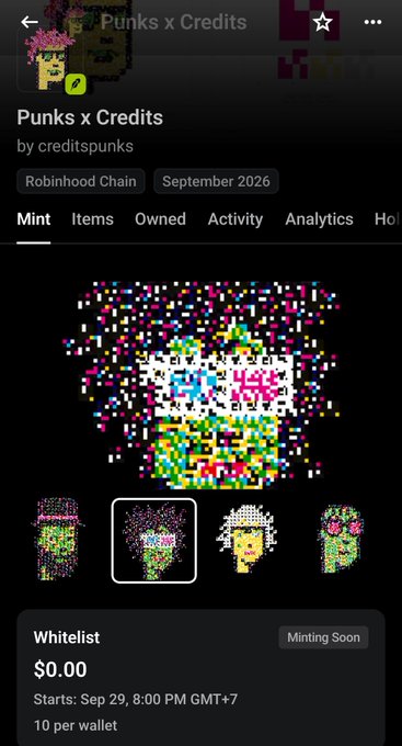 A screenshot from the Robinhood Chain platform showing an NFT collection called "Punks x Credits", displaying a pixelated skull image with options like Mint, Items, Owned, and Activity.