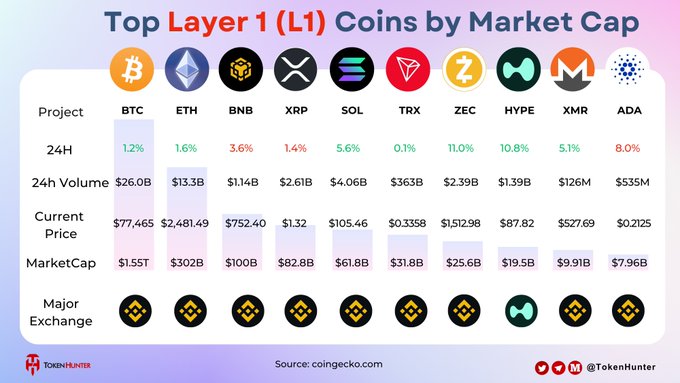 A chart titled 'Top Layer 1 (L1) Coins by Market Cap' displaying data for BTC, ETH, BNB, XRP, SOL, TRX, ZEC, HYPE, XMR, and ADA, sourced from coingecko.com by TokenHunter.