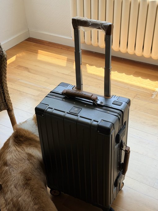 A sleek dark green hardshell suitcase stands ready on a sunlit wooden floor, with a curious cat nestled beside it. The scene captures the excitement and anticipation of travel, perfectly embodying the wanderlust spirit of "The world is so big, I want to go see it" — though a few paw prints on the luggage might suggest who's really in charge of this adventure.