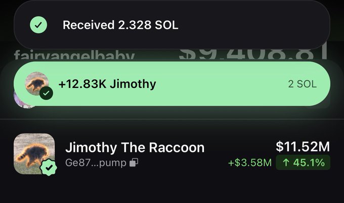 A crypto wallet screenshot shows a successful receipt of 2.328 SOL and a completed buy of +12.83K Jimothy for 2 SOL, with "Jimothy The Raccoon" (Ge87...pump) trading at $11.52M (+45.1%) — serving as proof of the user's DCA purchases into the $Jimothy memecoin.
