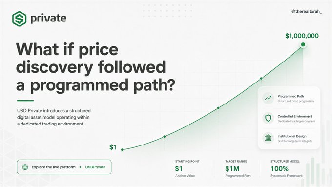 The image features a white background that includes a line graph illustrating the relationship between price discovery followed by a programming path, with an upward-growing curve indicating progress towards a completed programmable path at $1.00M. This graph showcases the growth potential of investing in digital assets and demonstrates the impact of pricing strategies on financial outcomes. The post emphasizes the connection between USDP's structured model operating inside its own trading environment and how this approach can lead to substantial gains for investors who understand the relationship between price discovery and programmable paths.