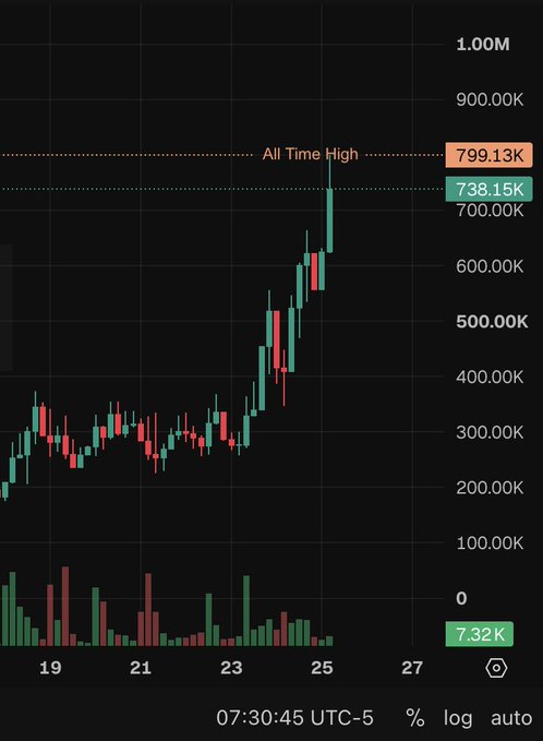 A candlestick chart showing a steep upward price rally in $NINEHOOD, surging from around $200K to an all-time high of $799.13K, with current price at $738.15K and the timeline spanning roughly days 19-25. The chart's dramatic breakout near the ATH label visually captures the celebratory "YOOOO 799K!!!" reaction from @ninehood_h.