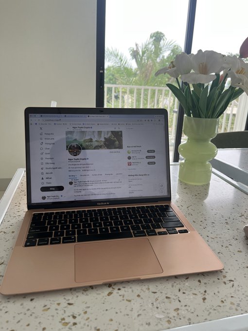Rose gold MacBook Air open on a speckled white countertop displaying the X/Twitter homepage, with a green vase of white tulips beside it and a window with a balcony view of palm trees in the background.