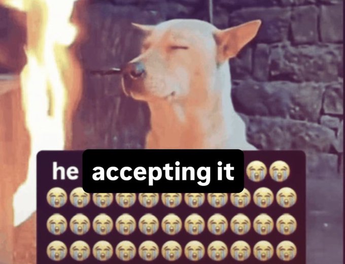 A meme showing a small white dog with closed eyes and a peaceful expression above a grid of crying-laughing emojis, with text reading 'he accepting it'.