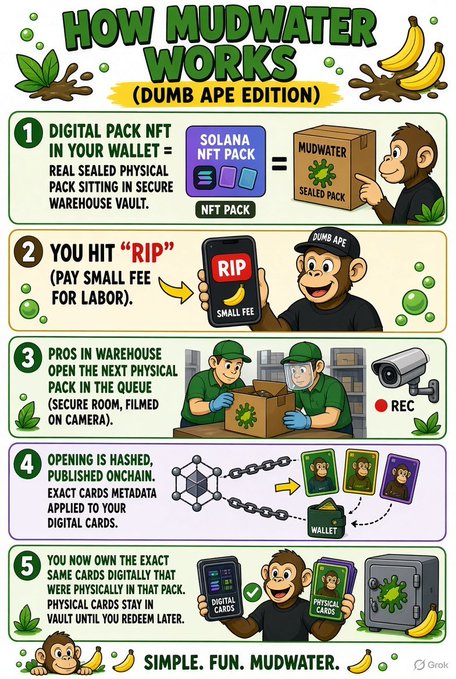 An infographic titled 'HOW MUDWATER WORKS (DUMB APE EDITION)' illustrated with monkeys explains a 5-step process involving digital NFTs and physical card packs on the Solana blockchain.