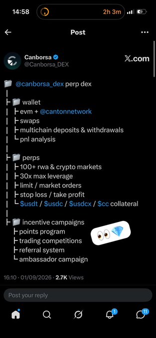 A screenshot of an X (Twitter) post from @Canborsa_DEX detailing features of @canborsa_dex perp dex, including wallet, swaps, perps with 100+ markets and 30x leverage, and incentive campaigns.
