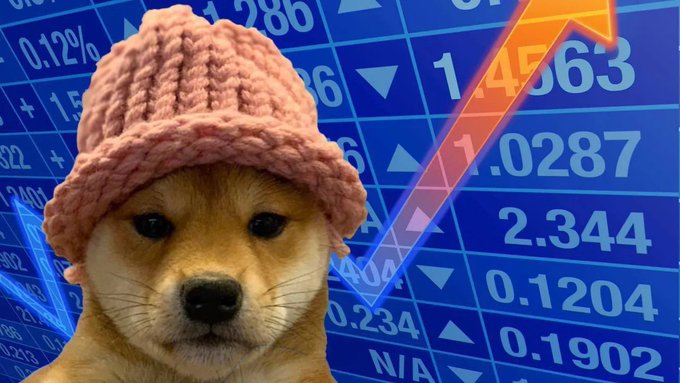 A Shiba Inu dog wearing a pink knitted bucket hat, superimposed against a blue background displaying financial market numbers and an orange upward trending arrow, referencing the Doge meme/cryptocurrency.