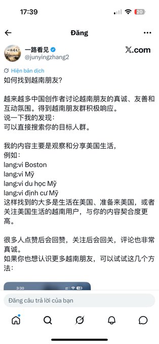 A mobile screenshot of an X (formerly Twitter) post by user @junyingzhang2 in Chinese discussing how to find Vietnamese friends, suggesting target audience search terms like 'lang:vi Boston' and 'lang:vi Mỹ'.
