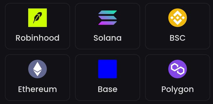 A dark interface showing six cryptocurrency network logos: Robinhood, Solana, BSC, Ethereum, Base, and Polygon.