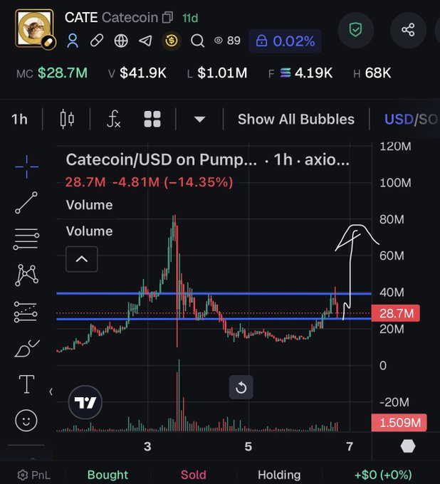 A cryptocurrency trading chart for 'CATE Catecoin' shows a market cap (MC) of '$28.7M' with a downward trend, and someone has drawn a white arrow pointing up at the right side of the graph.