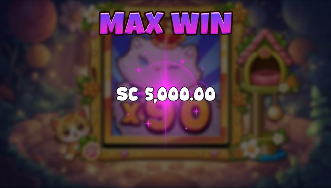 A screenshot celebrating a max win on Stake USA showing "MAX WIN" and "SC 5,000.00" with a x50 multiplier, featuring a cute cat character from the slot game "Cat Dash," capturing the excitement of the poster's first-ever max win from a $100 bonus buy.