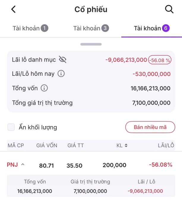 A Vietnamese stock portfolio app screenshot showing account 6 with a massive -56.08% loss of -9,066,213,000 VND on PNJ stock, with a total invested capital of 16,166,213,000 VND and today's loss of -530,000,000 VND.