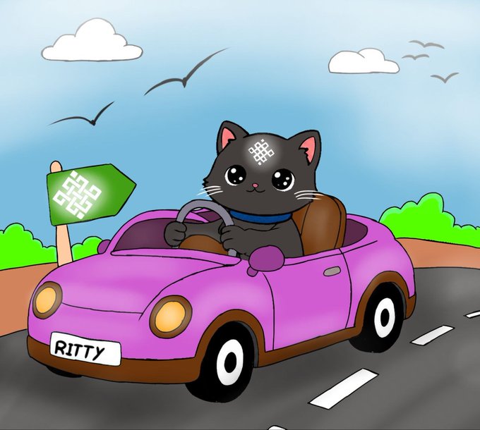 Cartoon illustration of a black cat with a QR code on its forehead driving a pink convertible car with a license plate reading 'RITTY', passing a green signpost with another QR code against a blue sky with clouds and birds.