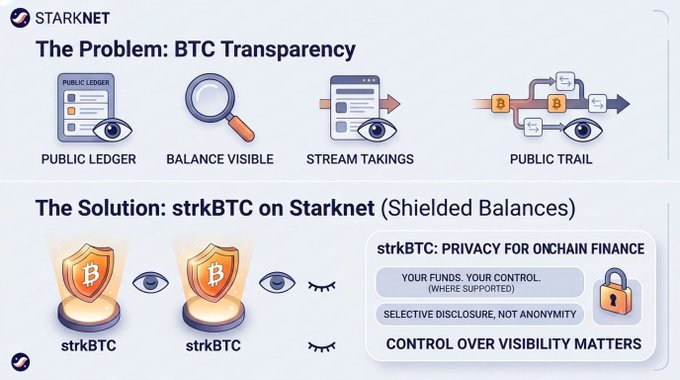 Infographic titled 'The Problem: BTC Transparency' showing public ledger visibility issues with icons for balance, stream takings, and public trail, alongside the solution 'strkBTC on Starknet (Shielded Balances)' emphasizing privacy and control.