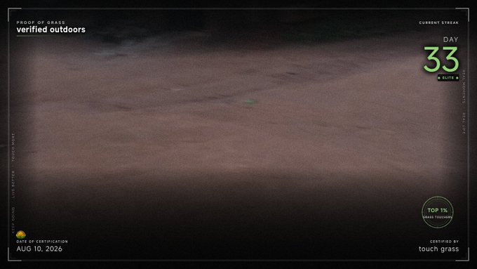 A screenshot of a 'Proof of Grass' app displaying 'verified outdoors' with a 'Day 33' streak counter, a 'Top 1% Grass Touchers' badge, and a certification date of 'Aug 10, 2026' by 'touch grass', showing a blurry brown ground texture.