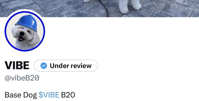 Social media profile showing a white dog wearing a blue construction helmet, with the name 'VIBE', handle '@vibeB20', 'Under review' status, and 'Base Dog $VIBE B20' displayed.