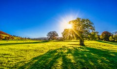 A serene, sunlit grassy field framed by trees under a bright blue sky evokes the open, tranquil landscape of privacy and freedom that Beldex is building as foundational Web3 infrastructure rather than a bolted-on feature.