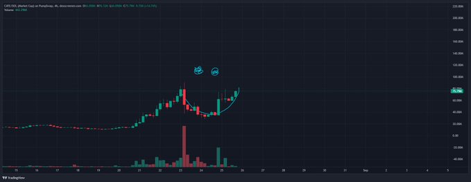 A 4-hour candlestick chart of the meme token $CATE/USDT on TradingView shows a strong upward trend culminating in a recent peak around $42,000, with the price action forming a pattern that resembles a smiling face—directly mirroring the celebratory tone of the post, which mocks the "wetwipes" (fuds) who tried to dampen the rally.

Key visible details: ticker "CATE/USDT (Catfish Gold) on Pump.fun," current price highlighted near $42,000, TradingView branding at the bottom, and the meme-style smiley face drawn over the chart's peaks.