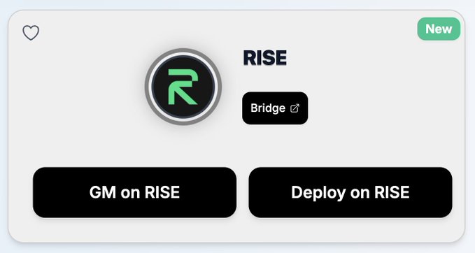 A UI card showing the RISE blockchain platform with options for 'GM on RISE' and 'Deploy on RISE', marked as 'New' with a Bridge button.