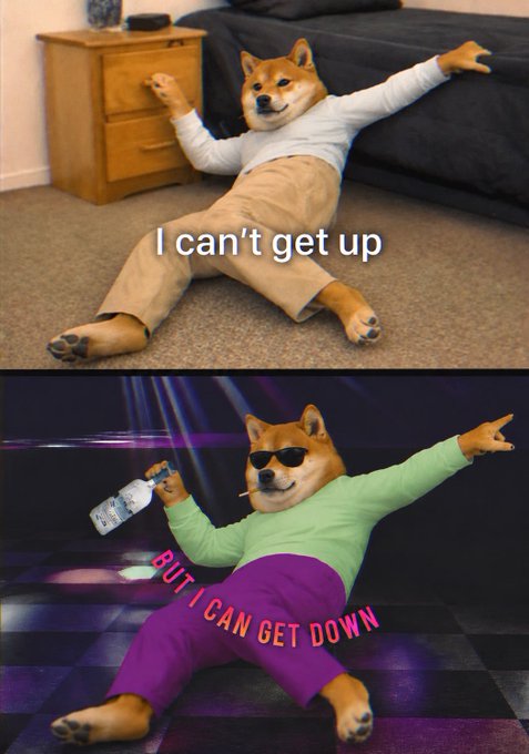 The image features a cartoon dog wearing sunglasses, pants, and a shirt that reads "I can't get up but I can get down." The dog appears to be dancing or doing some sort of action, with its arms outstretched as if performing on stage. The text in the image is related to a post about Doge Fam, which suggests that this image might have been created for social media purposes or as part of an online campaign promoting a specific brand or product.

The dog's pose and attire are meant to convey a sense of fun and lightheartedness, while also making a statement about the importance of staying positive and not giving up in life. The combination of humor and a strong message makes this image appealing for sharing on social media platforms like Instagram or Facebook.