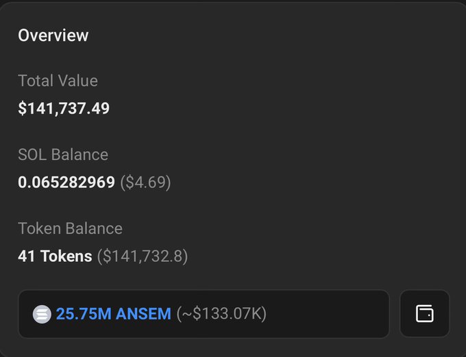 A wallet overview showing a total value of $141,737.49, with a SOL balance of 0.065282969 ($4.69) and a token balance of 41 tokens worth $141,732.80, featuring 25.75M $ANSEM tokens valued at approximately $133.07K. The image confirms the post's claim of an early investor's profit, as $ANSEM represents the largest holding in this wallet that turned an $8,000 investment into over $131,000 in gains.