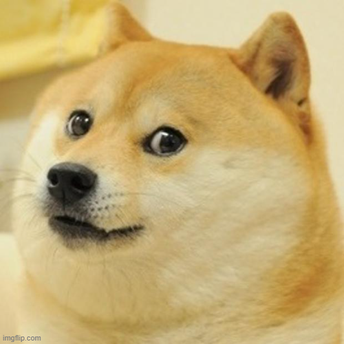 A close-up photo of a Shiba Inu dog with a slightly smiling expression, looking upward with bright eyes. The image has the watermark "imgflip.com" in the bottom left corner and fits the playful, meme-like tone of the post with its amused, "wow"-style reaction face.