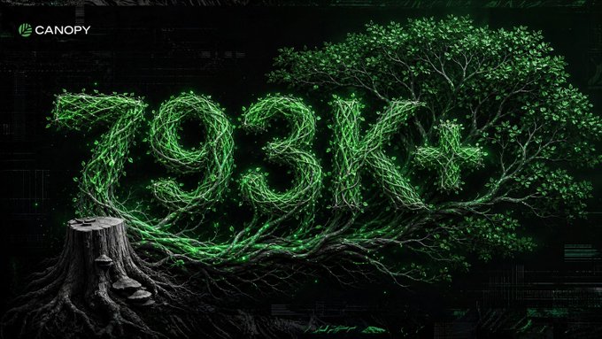 A digital artwork titled 'CANOPY' displays the year '1934' constructed from glowing green vines and roots emerging from a dark tree stump.