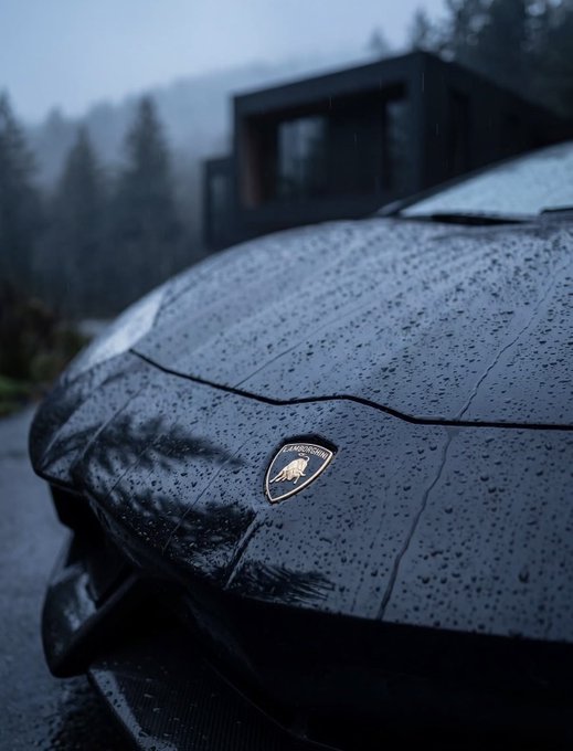 A close-up of a wet black Lamborghini's hood with the iconic gold bull logo, covered in rain droplets against a misty forest backdrop.