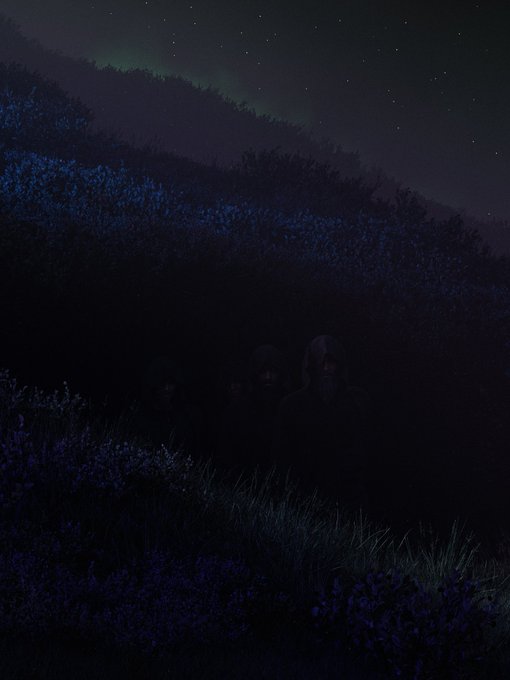 A dark, atmospheric illustration depicts figures hidden in a shadowy field of flowers under a starry night sky with a green aurora.
