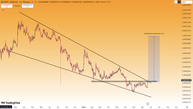 A TradingView chart of PEPE/USDT on Binance shows the price testing a descending channel support around the 0.00000314 level, with an annotated projected move of approximately 240% to a target near 0.00000730. The chart visually reinforces the post's bullish thesis that holding above 30 (likely referring to the 0.0000030 support zone) opens up significant upside potential for the meme coin.