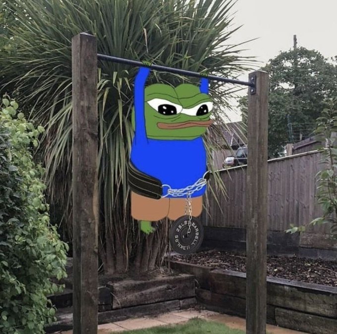 A Pepe the Frog meme is depicted hanging from a pull-up bar outdoors in a garden, wearing a blue shirt, brown shorts, and a weightlifting belt.