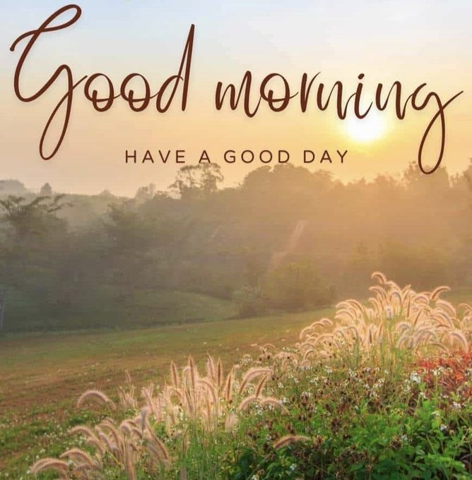 A scenic morning landscape with grass and flowers in the foreground and misty hills in the background, overlaid with the text 'Good morning HAVE A GOOD DAY'.