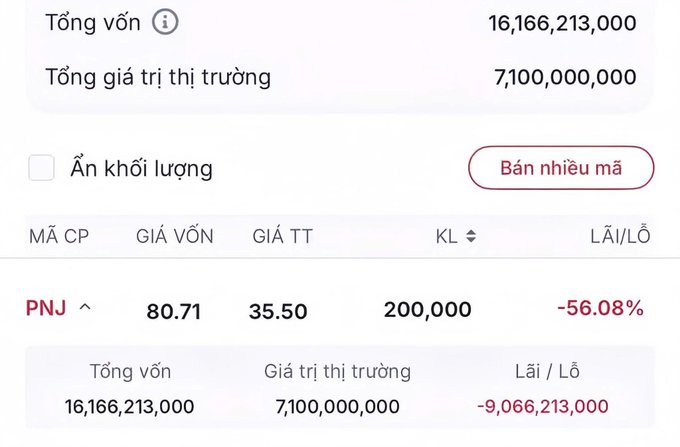 Stock portfolio showing PNJ position with 200,000 shares at 80.71 cost basis, current price 35.50, showing -56.08% loss and -9,066,213,000 total loss on 16,166,213,000 invested capital.