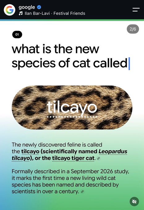 A Google search result card asks 'what is the new species of cat called' and provides an answer about the 'tilcayo' (scientifically named Leopardus tilcayo), describing it as the 'tilcayo tiger cat' discovered in September 2026.
