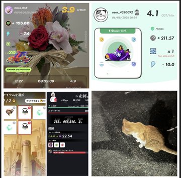 A collage of four images: a TikTok livestream showing a floral arrangement with a viewer count of 3.9K, a Google Maps screenshot rating of 4.1 stars, a gaming app interface showing purchases and levels, and a cat resting on a black blanket.