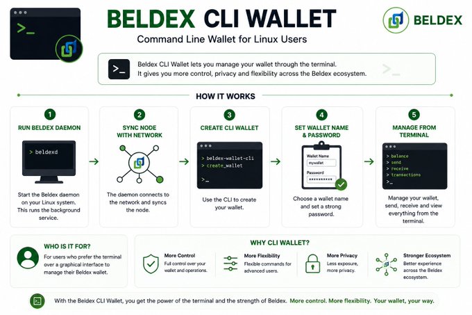 Infographic for the 'BELDEX CLI WALLET', a Command Line Wallet for Linux Users, explaining a 5-step process to run a daemon, sync, create a wallet, set credentials, and manage funds.