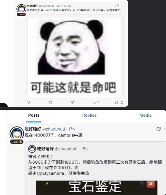 Chinese social media posts (X/Twitter) by user @zhuouhuli discussing game earnings, mentioning going from 6000万 to 14000万, and includes a popular Chinese meme face with text '可能这就是命吧' (Maybe this is fate).